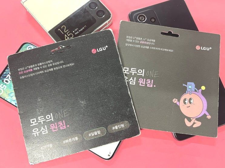  LG 선불 유심 온라인 개통 가이드