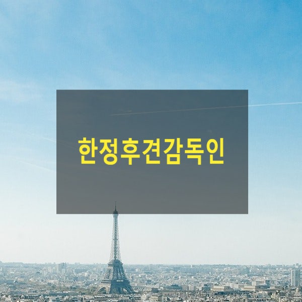  한정후견감독인(13)(후견감독인, 유언, 가정법원, 사임, 변경, 보수, 직무비용)