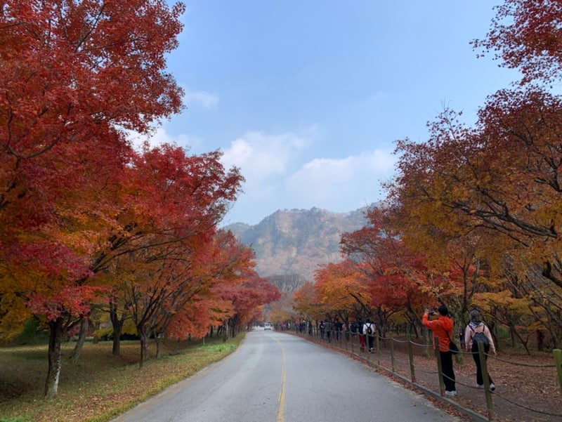 국내 단풍 여행지 추천 :: 정읍 내장산 단풍 명소, 내장사까지 가을 산책