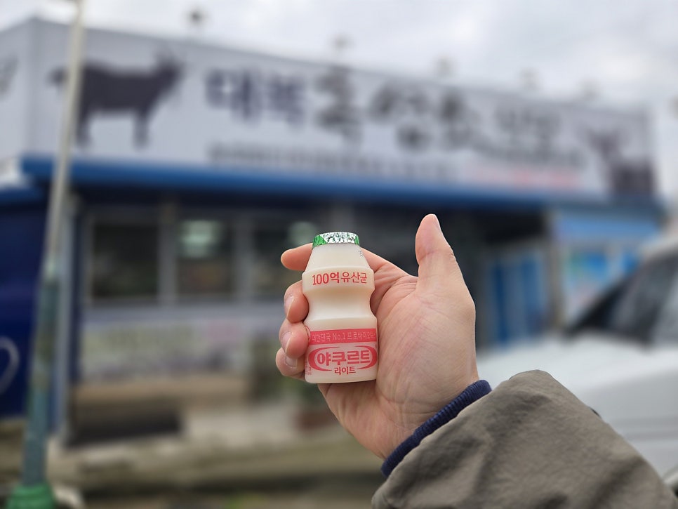 대복흑염소식당 사진 2
