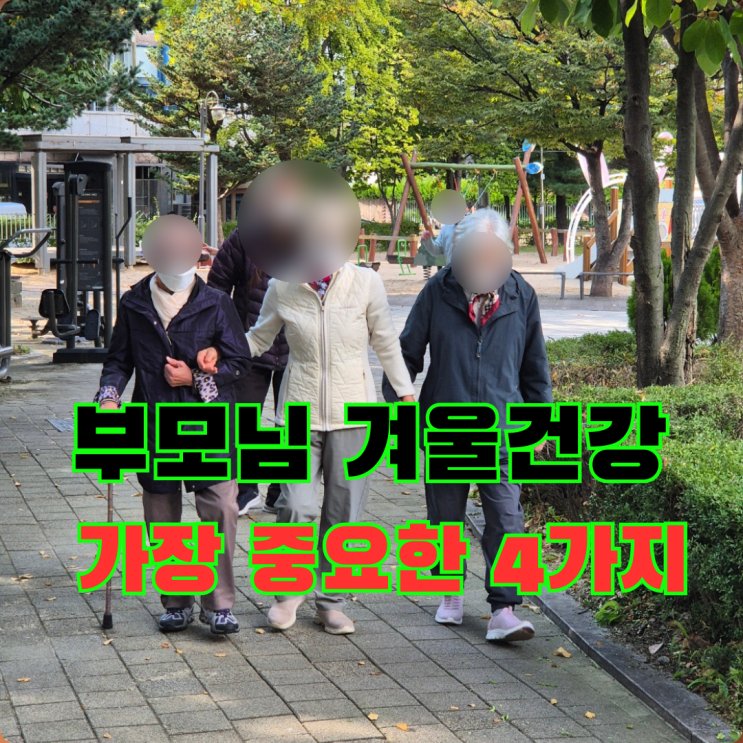  【겨울철노인건강관리】  혈압, 심혈관, 면연력, 낙상 예방 총정리