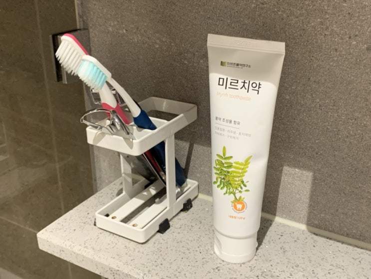  블랙프라이데이 득템 몰약 미르치약 임산부 사용후기