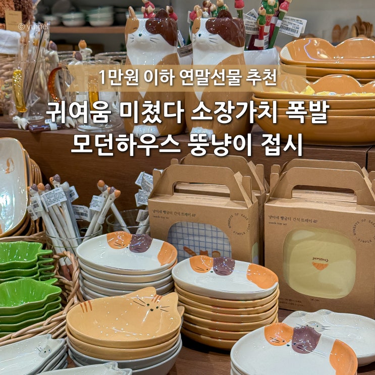  1만원 이하 연말선물 추천 역시 귀여운 게 최고! 모던하우스 뚱냥이 그릇