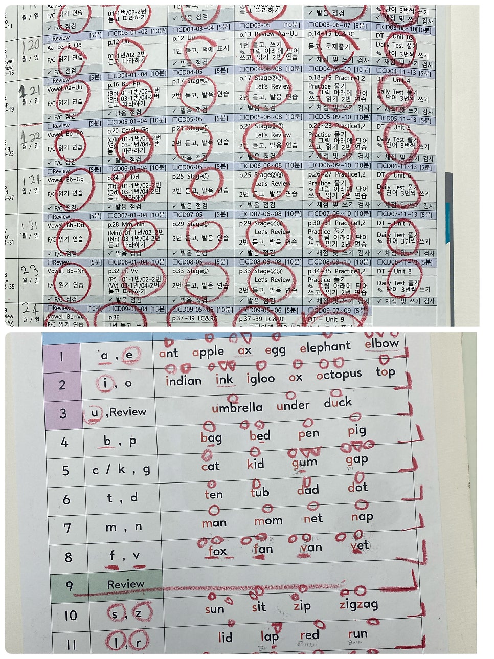 미래엔영어 장성대광로제비앙점 사진 2