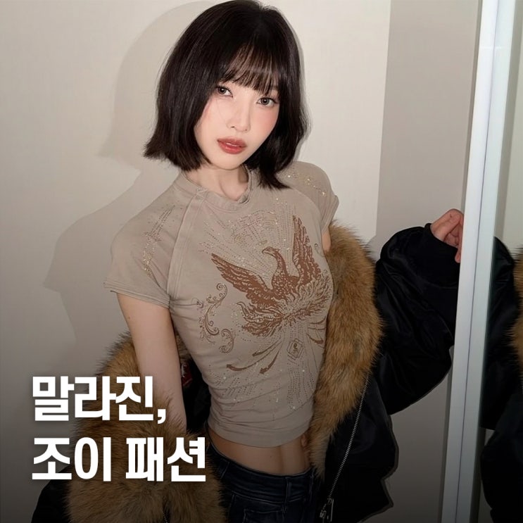  “너무 말랐다더니..” 레드벨벳 조이 역대급 근황 패션 Y2K