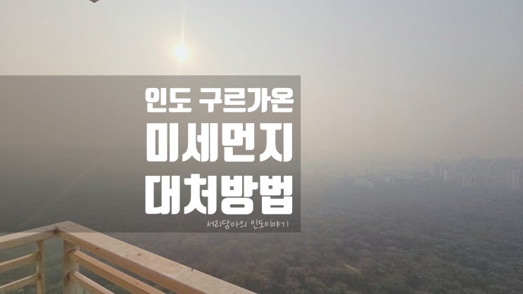  인도 주재원들이 겪는 델리, 구르가온 미세먼지 현실과 차단 방법