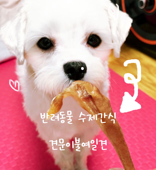 사진 6