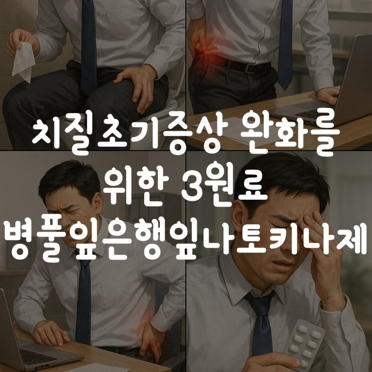  치질초기증상 완화를 위한 3원료 병풀잎은행잎나토키나제