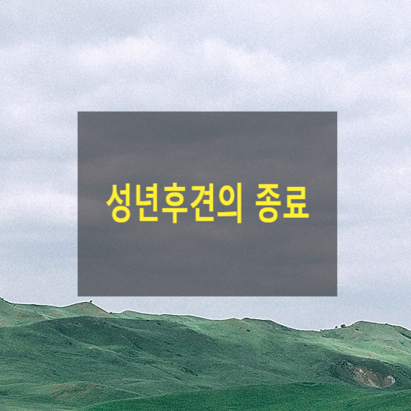  성년후견의 종료(10)(성년후견인 종료, 사망, 종료, 사임, 변경, 가정법원, 긴급사무처리, 후견종료등기)