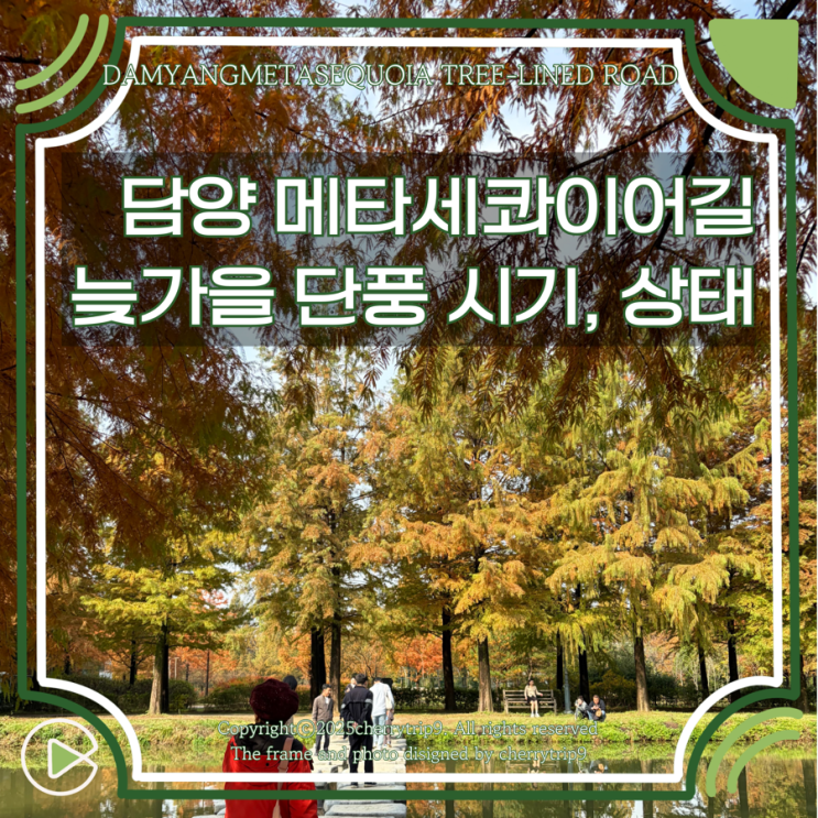  늦가을 담양 메타세콰이어 가로수길 :: 주차 단풍 절정 시기 입장료까지