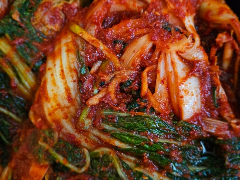 2025년 겨울김장 전라도 김장김치