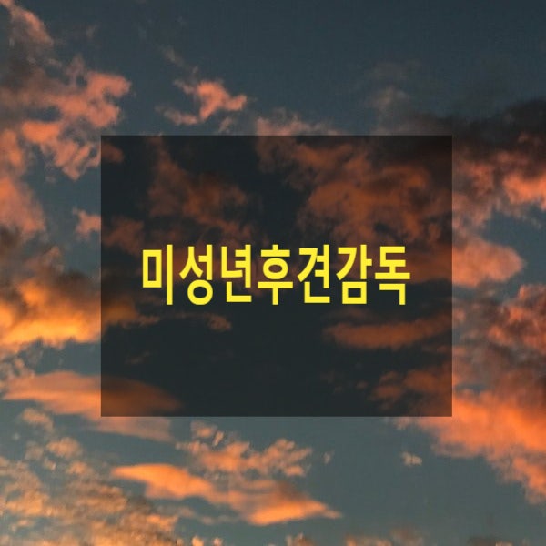  미성년후견감독(4)(후견감독인, 유언, 가정법원, 사임, 경질)