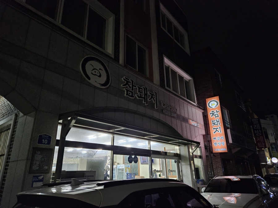 참돼지 사진 2
