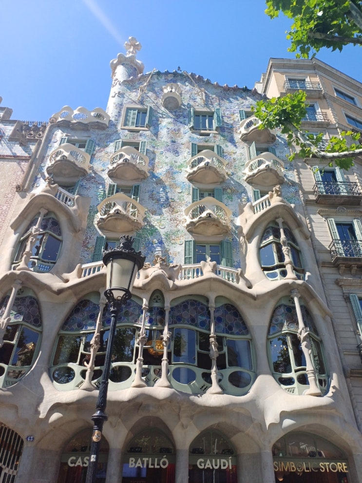  11월 26일 주요신문 헤드라인