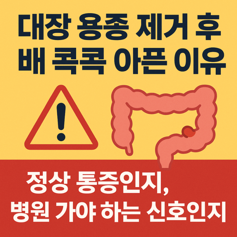 대장 용종 제거 후 배가 콕콕 아픈 이유 정상 통증인지, 병원 가야 하는 신호인지 확실하게 ....