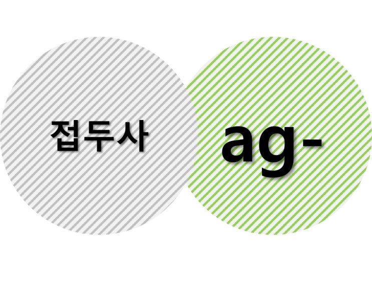  접두사 ag 어원으로 시작하는 영어 단어와 예문
