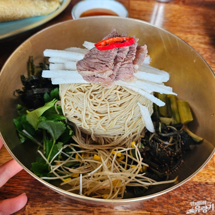  봉평 메밀국수 구수한 평양냉면까지 평창 메밀꽃향기