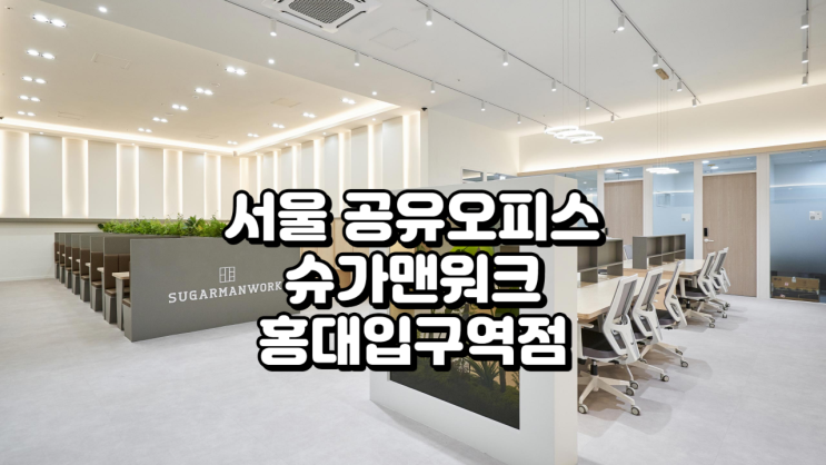  서울 공유오피스 추천, 슈가맨워크 서울 홍대입구역점 완벽 분석 가이드
