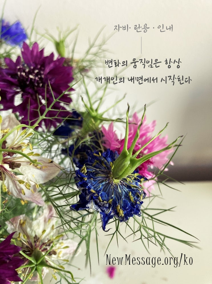  사회 변화를 실현하려면, 자비와 관용과 인내가 있어야 한다