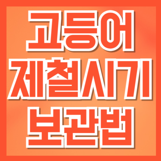  지금 먹어야 진짜 제맛! 고등어 제철과 보관법 완벽 정리