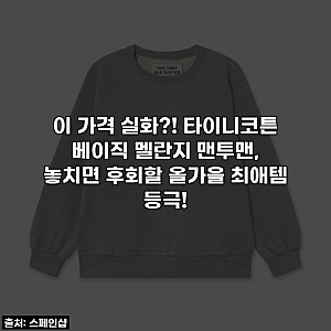 이 가격 실화?! 타이니코튼 베이직 멜란지 맨투맨, 놓치면 후회할 올가을 최애템 등극!