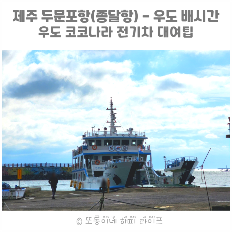 제주 우도 배시간 배편 두문포항(종달항)주차, 우도 하우목동항 코코나라 전기차 대여 할인 ....