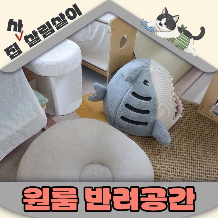  원룸에서 고양이가 편해지는 공간만들기 캣테리어 구성 5가지