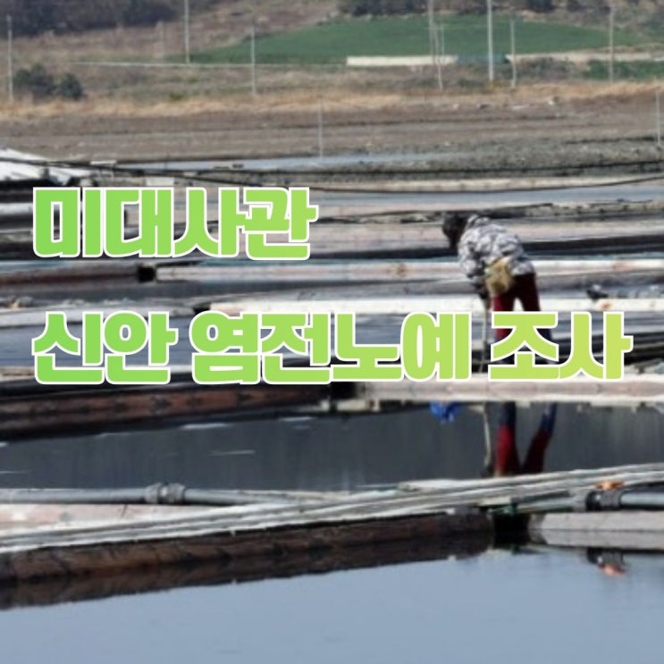 미대사관 신안 염전노예 조사, <b>강제노동</b> 제재의 파급효과