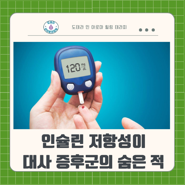  '숨은 시한폭탄' , 인슐린 저항성이 대사 증후군을 부르는 충격 메커니즘