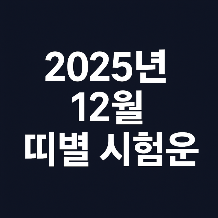  2025년 12월 띠별 시험운