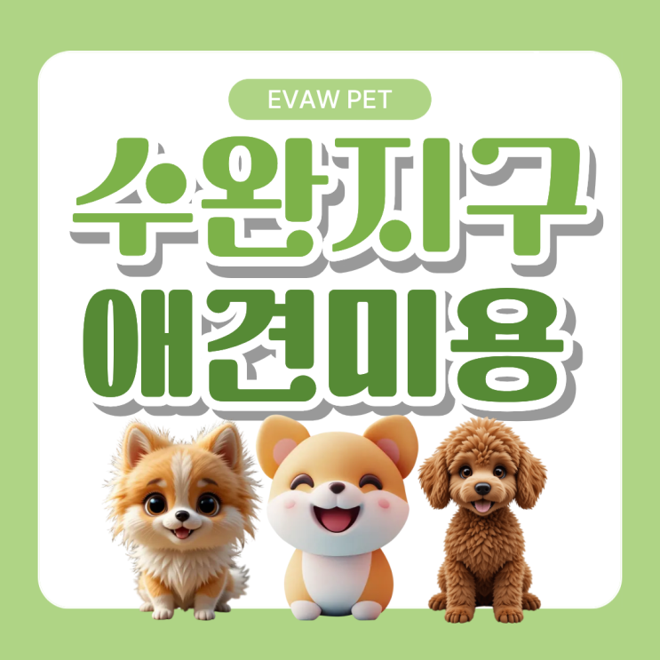  수완지구애견미용반려견 빗질 케어의 중요성 — 실전 가이드