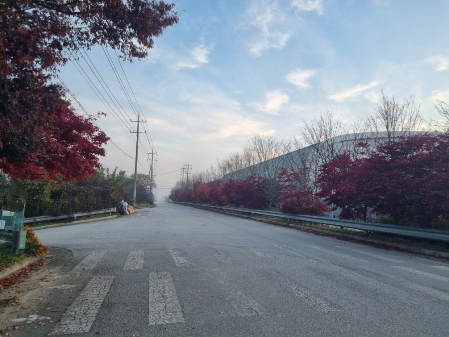 북당골 사진 5