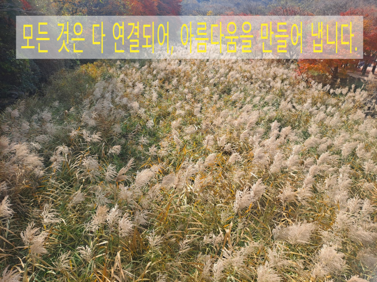  2등급 주사침류 의료기기 제조인증(GMP) 획득 컨설팅 사례