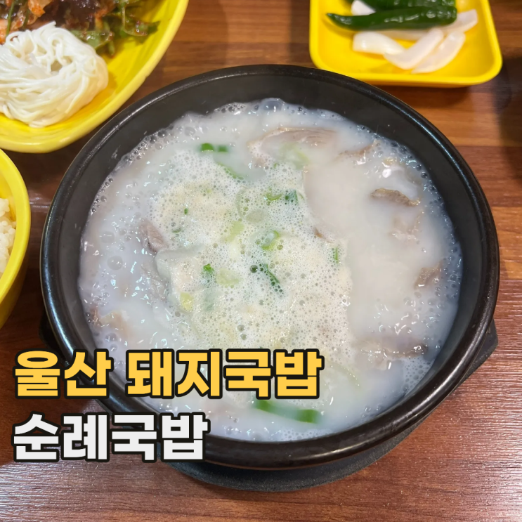  울산 순례국밥 유니치킨이 더 생각나는 방어동 돼지국밥 맛집