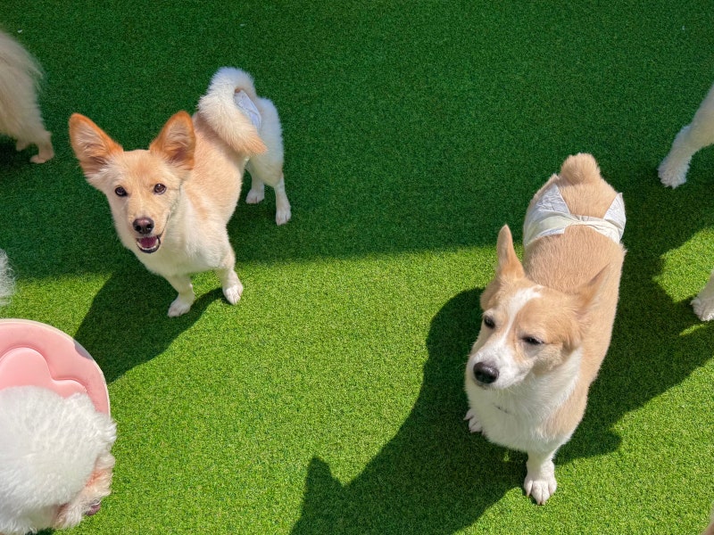사진 3