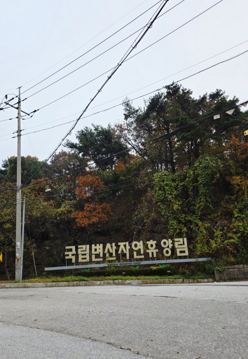 부안 여행 Part 1. 산과 바다가 만나는 변산반도 국립공원! '변산자연휴양림' 숙소 A to Z