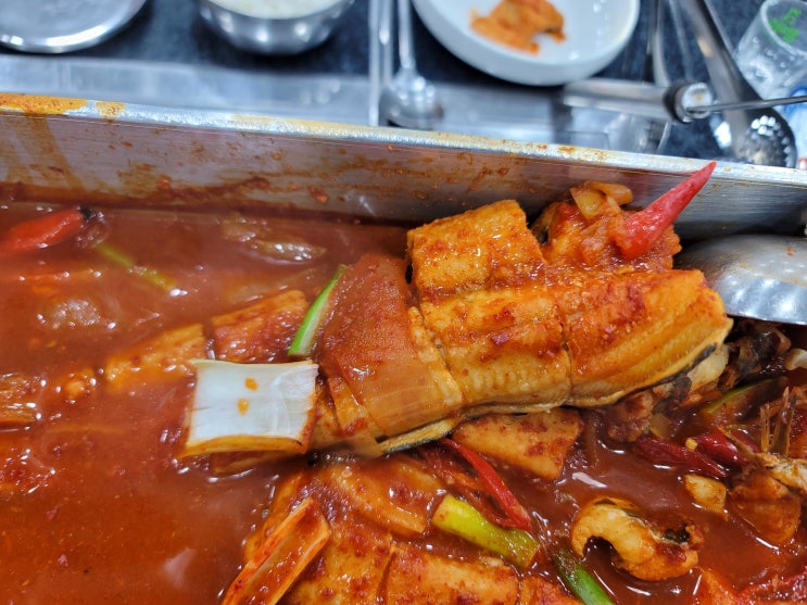  세종시 조치원 교리 메뉴판에는 없는 특별 메뉴 자연산 통영 장어 조림 찌개랑고기랑