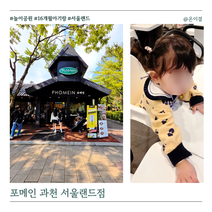  16개월 아기랑 과천 서울랜드 맛집 포메인 쌀국수 유아의자 있는 곳