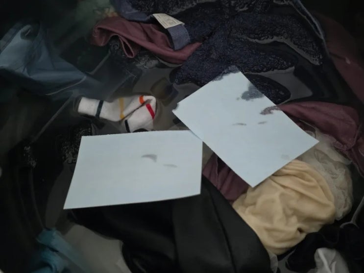  프로닥스 시트세제 사용해보니 캡슐세제보다 간편해