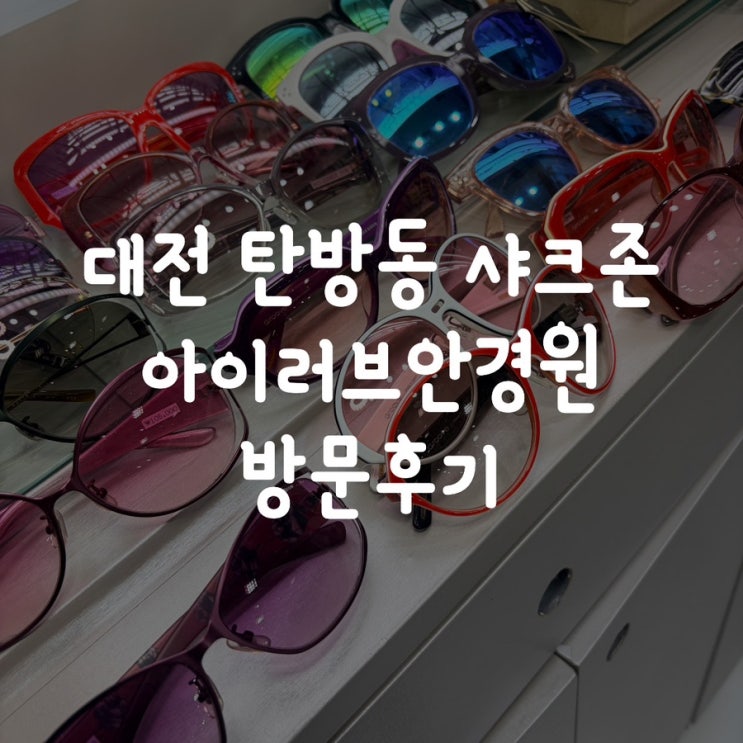  대전 탄방동 샤크존 아이러브안경원 방문후기