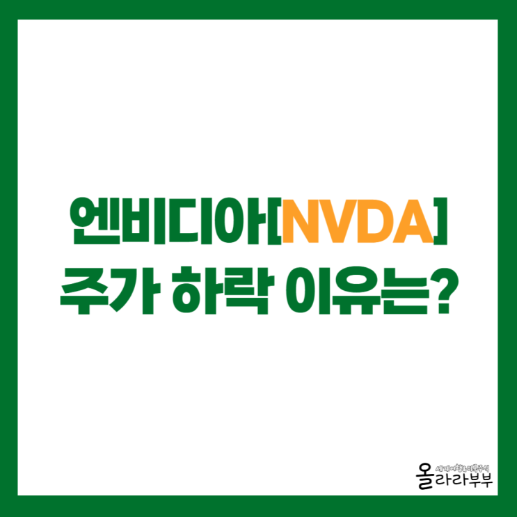 엔비디아 주가 하락, 구글 TPU와 마이클 버리 영향