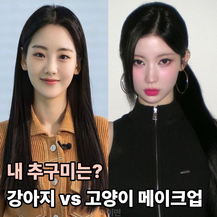  내 추구미는? 강아지 vs 고양이 메이크업