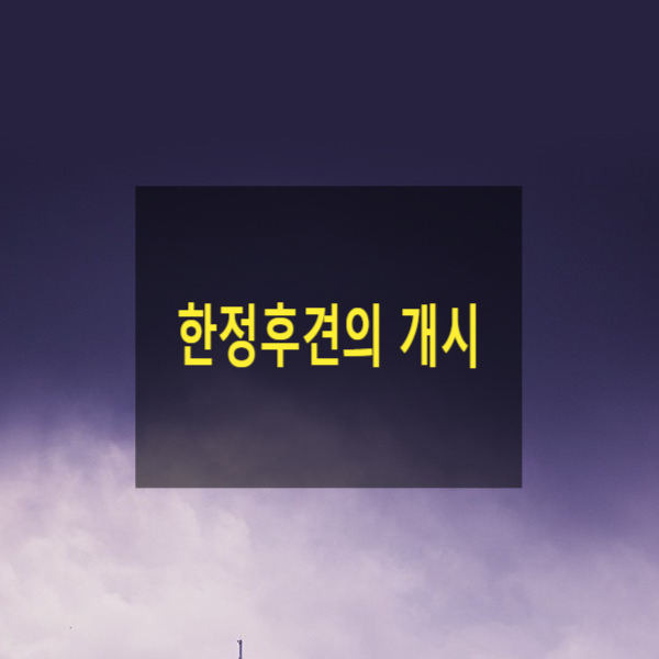  한정후견의 개시(11)(신청, 개시신청, 후견등기, 가정법원)