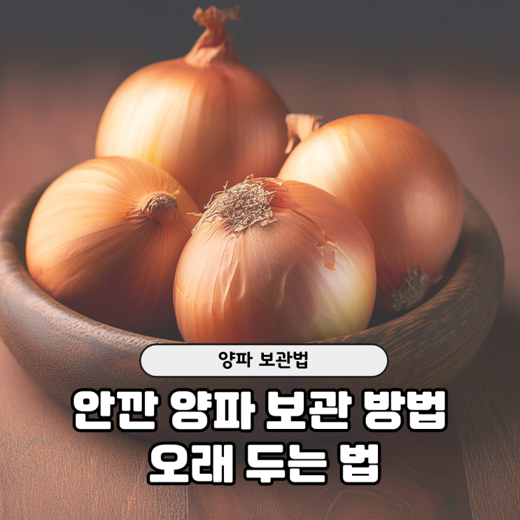  실온에서 양파 오래 보관하는 법｜종이가방 활용법 공개