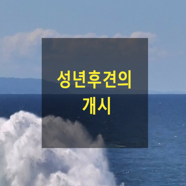  성년후견의 개시(7)(신청, 개시신청, 후견등기, 가정법원)