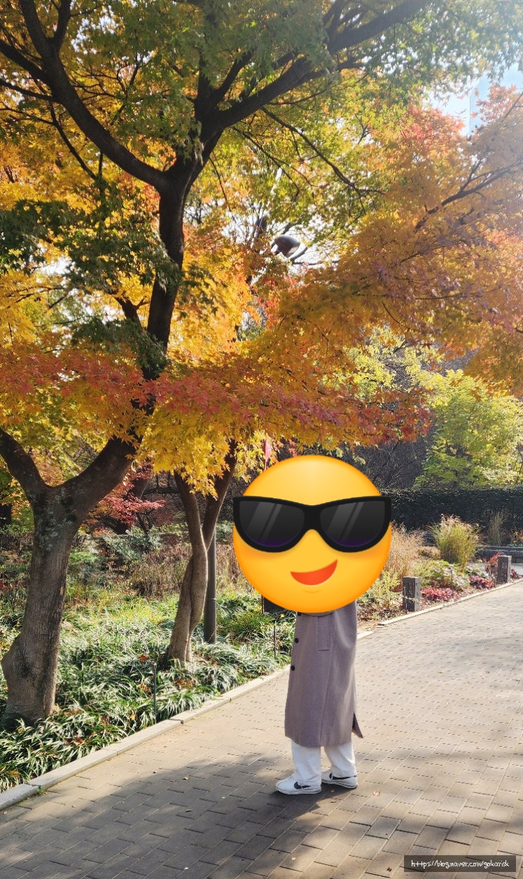  코듀로이 팬츠 고민 중이라면 보기 좋은 글, 지오다노 컬러별 솔직 후기