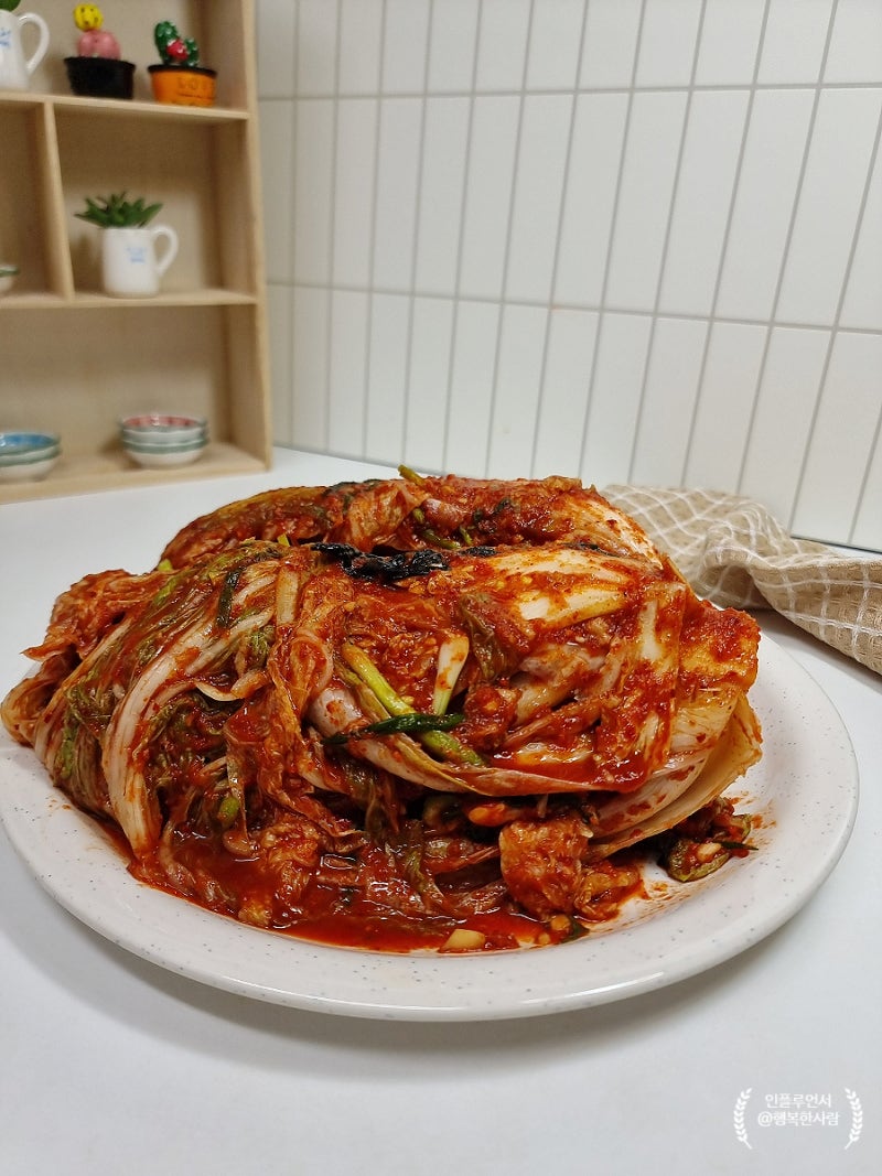 2025년 김장김치 담그기 배추 30포기 절이기 육수 김치속 만들기 양념 레시피 절임배추 절이는....