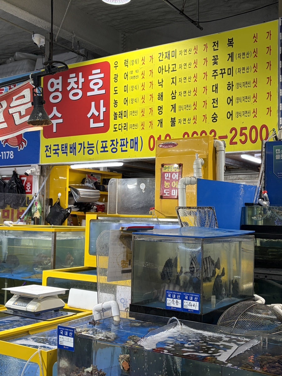 영창호수산 사진 6