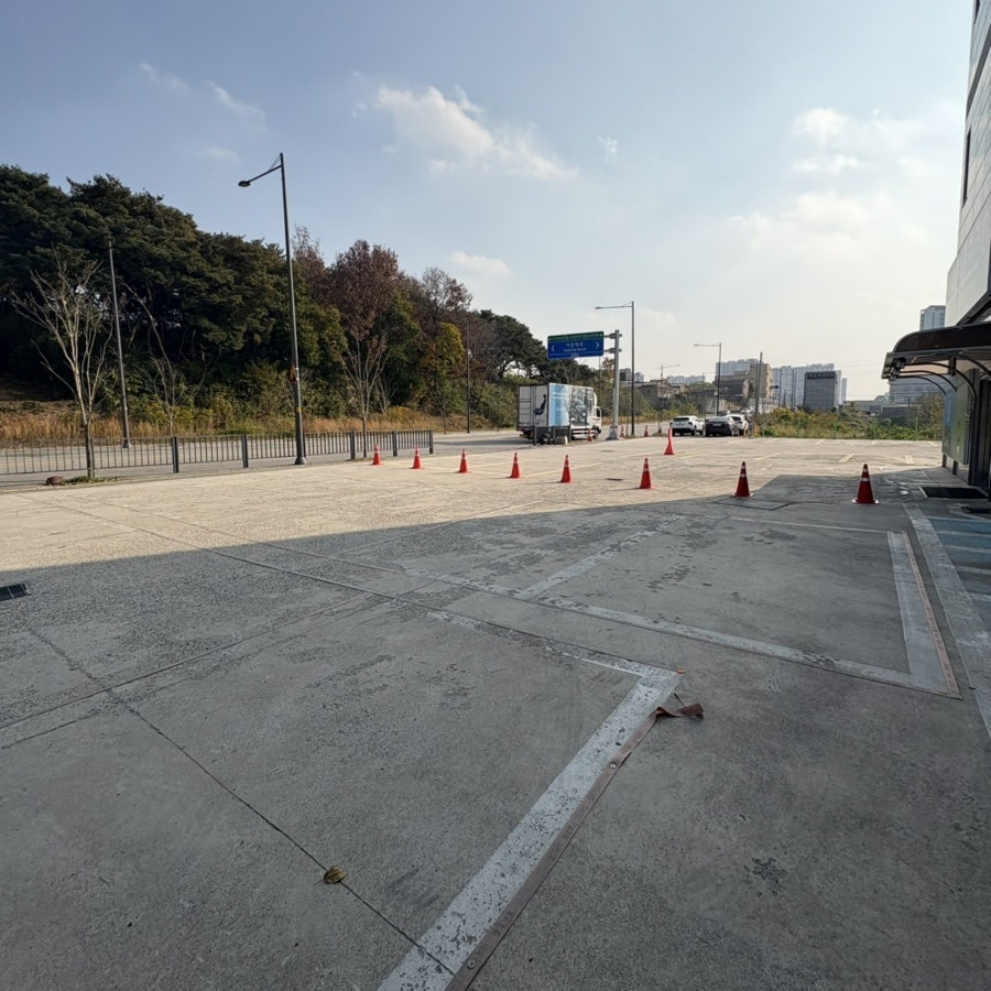 버들염소이야기 사진 3