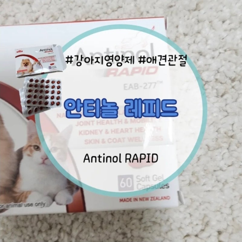 강아지 관절 영양제 안티놀래피드 검증된 효과